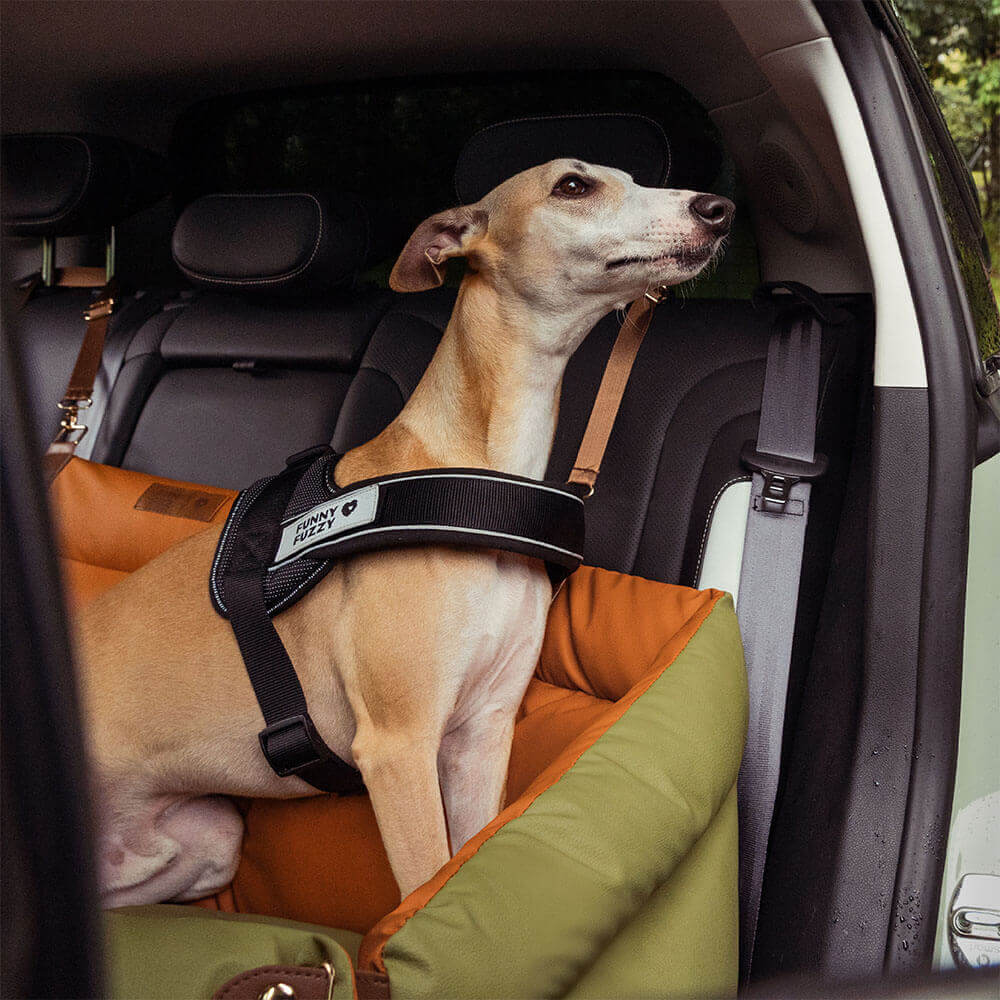 Cadeira de Auto para Cão – Conforto e Proteção