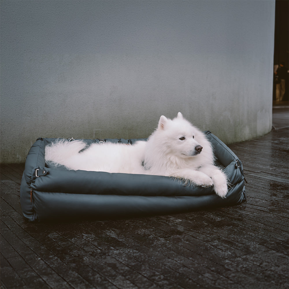 Cadeira de Auto para Cão – Conforto e Proteção