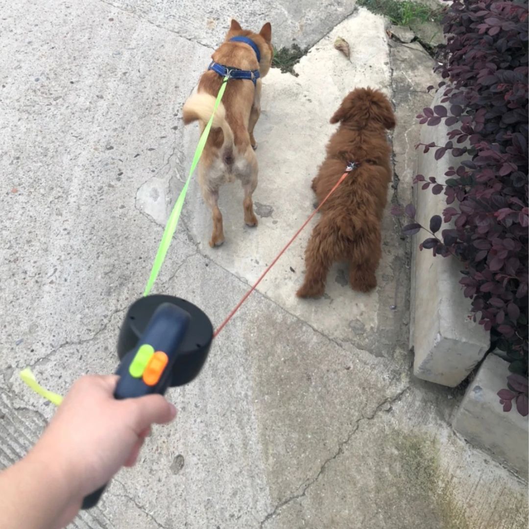 Lassie Doppelter Rückzug für Hunde – Mit LED-Lampe und Beutelspender