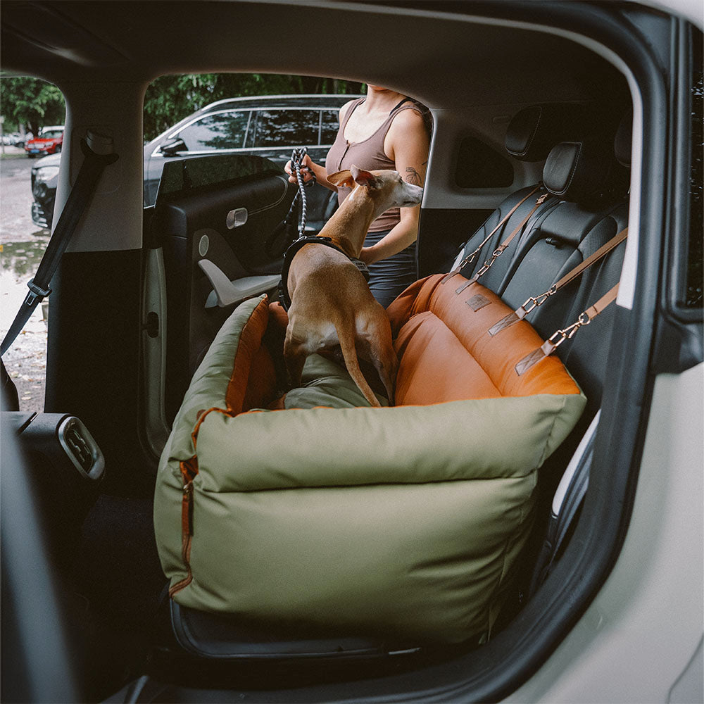 Cadeira de Auto para Cão – Conforto e Proteção