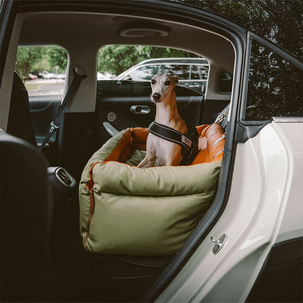 Cadeira de Auto para Cão – Conforto e Proteção