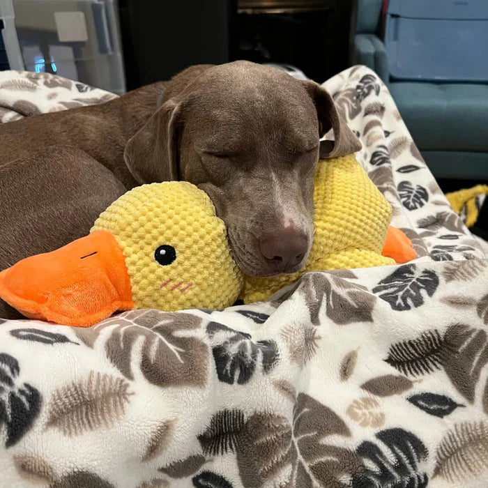 Juguete Patito Relajante Para Perros – Compañero De Juego Y De Relajación