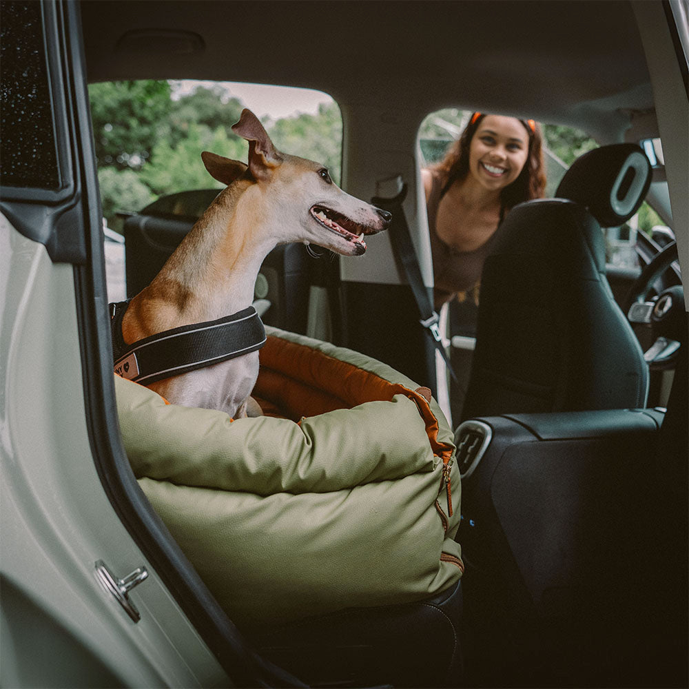 Cadeira de Auto para Cão – Conforto e Proteção