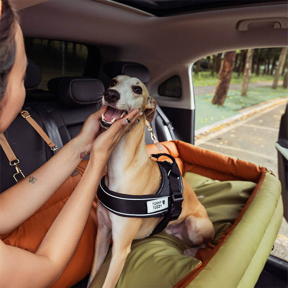 Cadeira de Auto para Cão – Conforto e Proteção