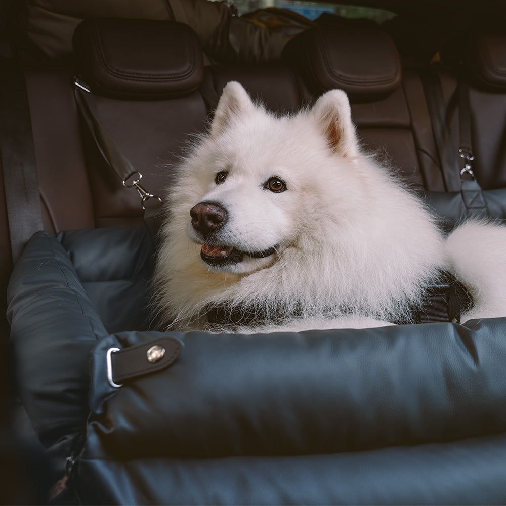 Cadeira de Auto para Cão – Conforto e Proteção