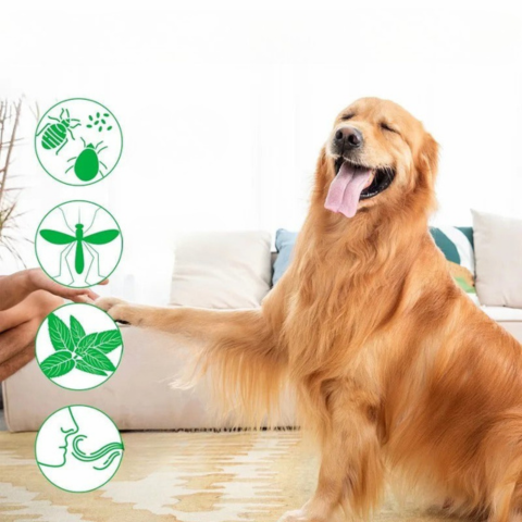 Spray Antiparazitar Natural de Lungă Durată — Protecție Eficientă Zilnică
