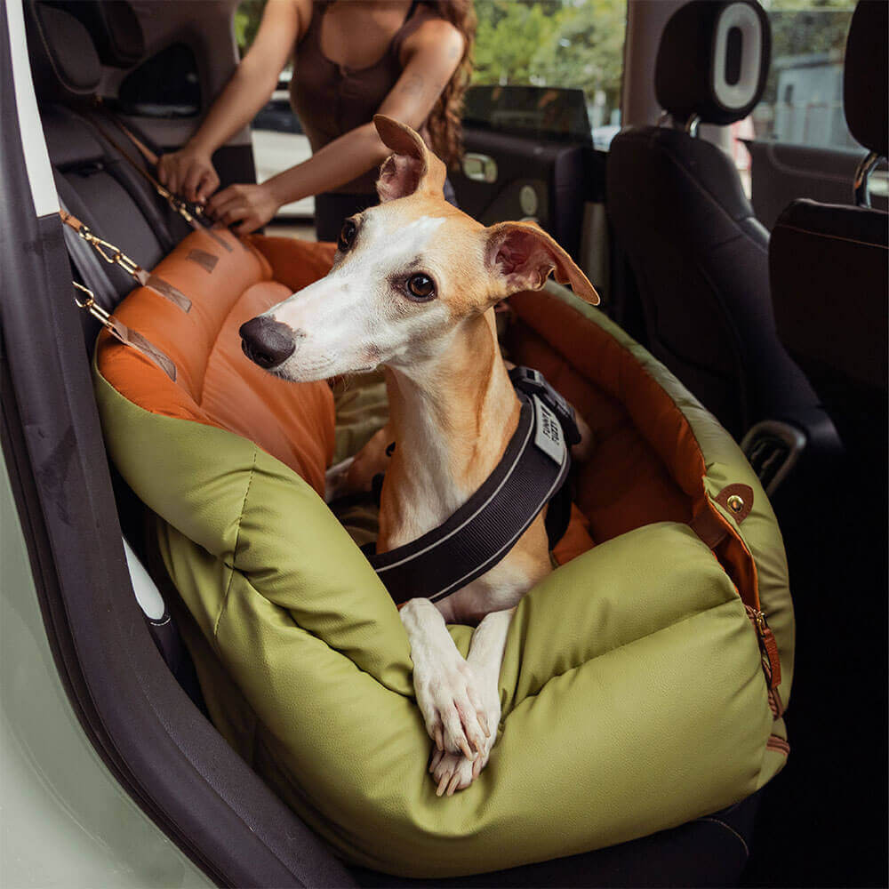Cadeira de Auto para Cão – Conforto e Proteção