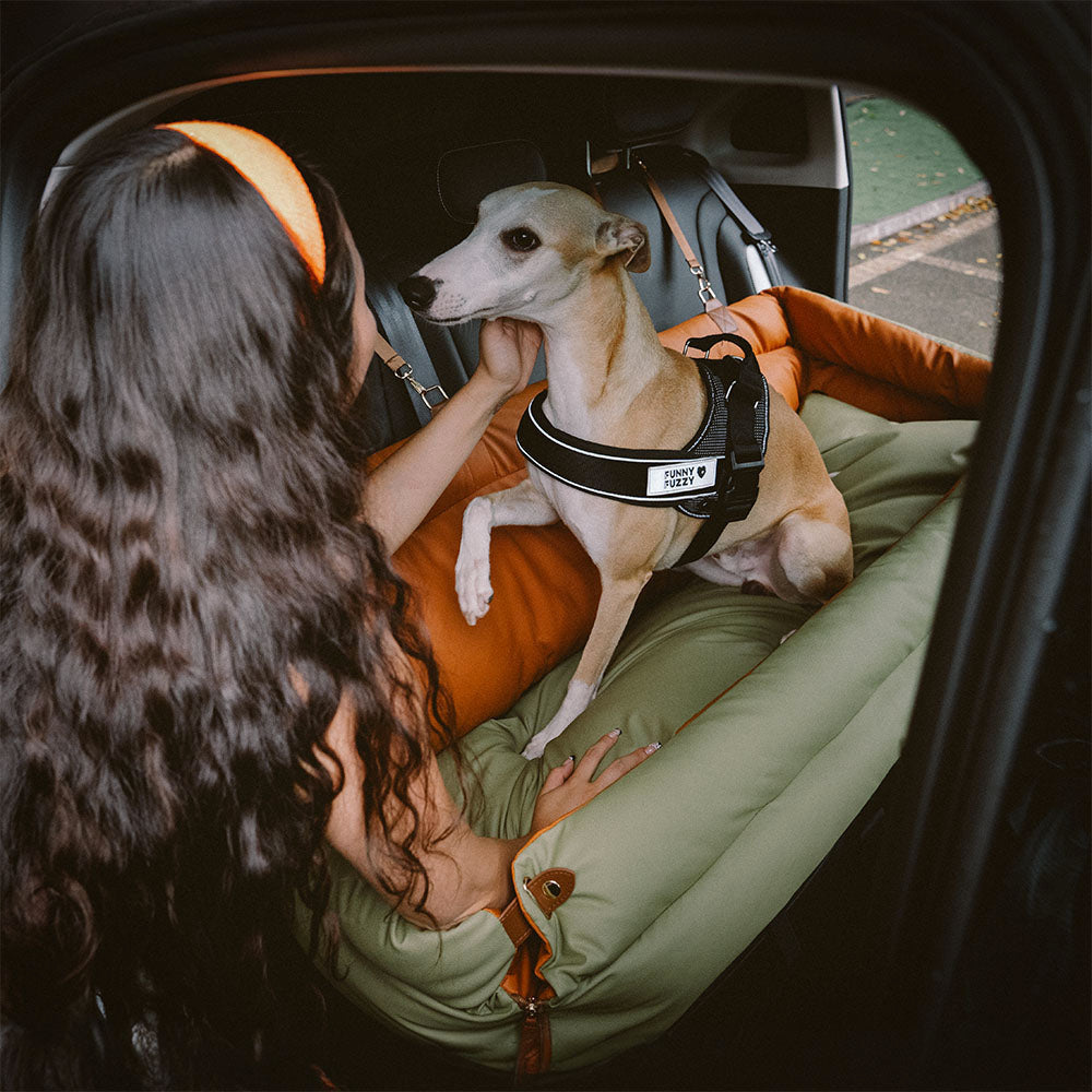 Cadeira de Auto para Cão – Conforto e Proteção