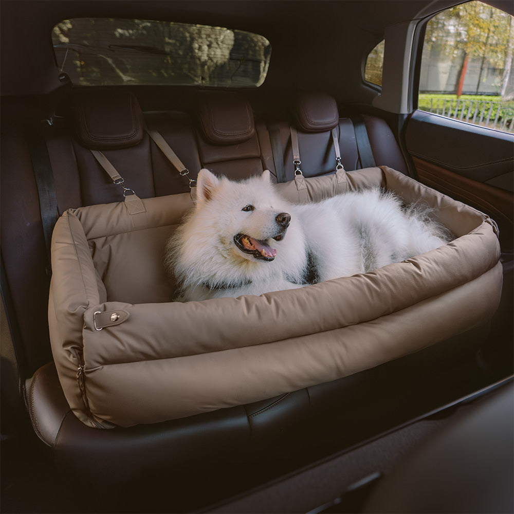 Cadeira de Auto para Cão – Conforto e Proteção