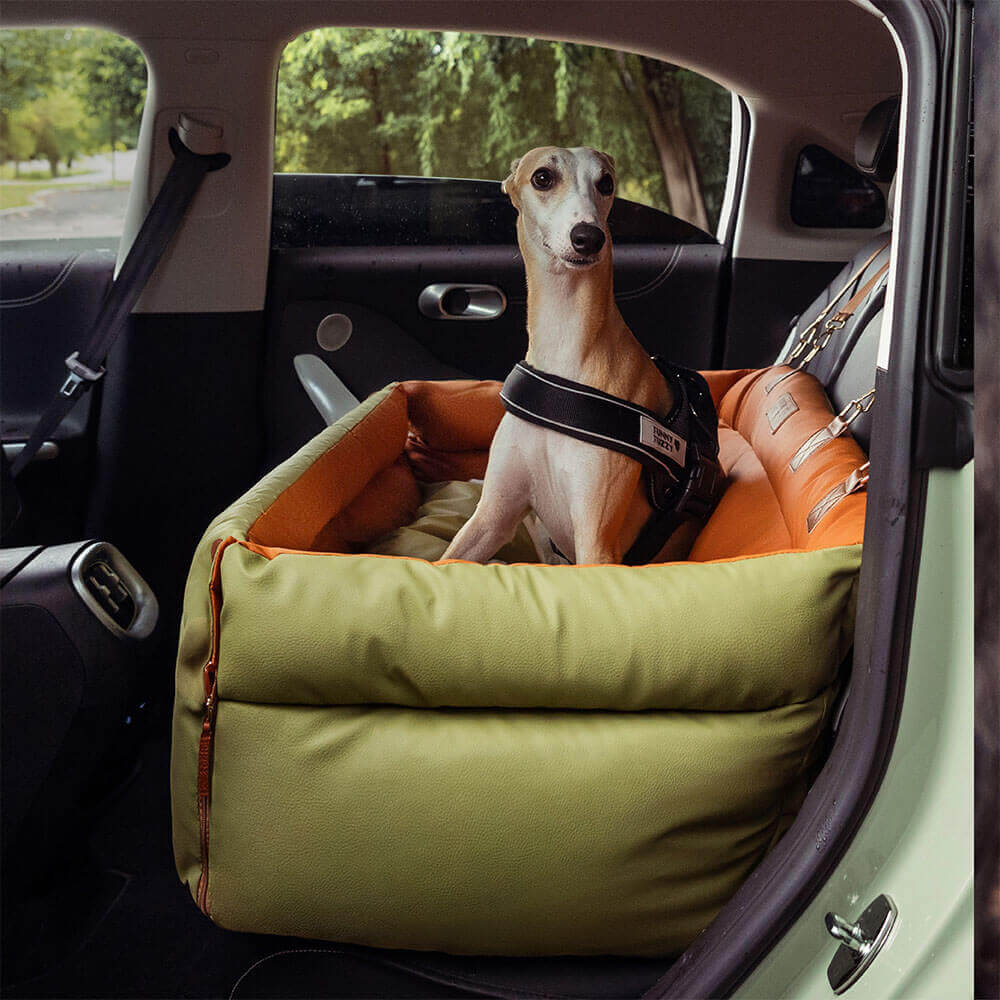 Cadeira de Auto para Cão – Conforto e Proteção