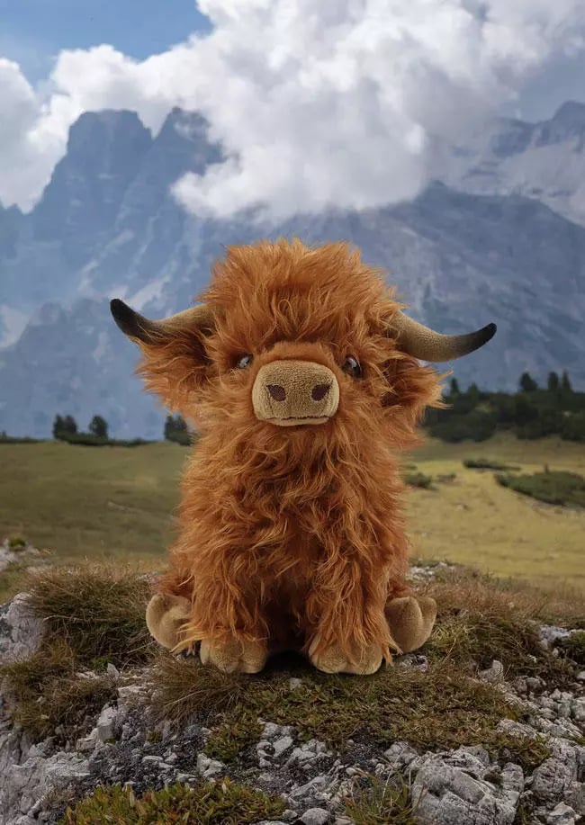 Peluche di mucca dagli altopiani scozzesi