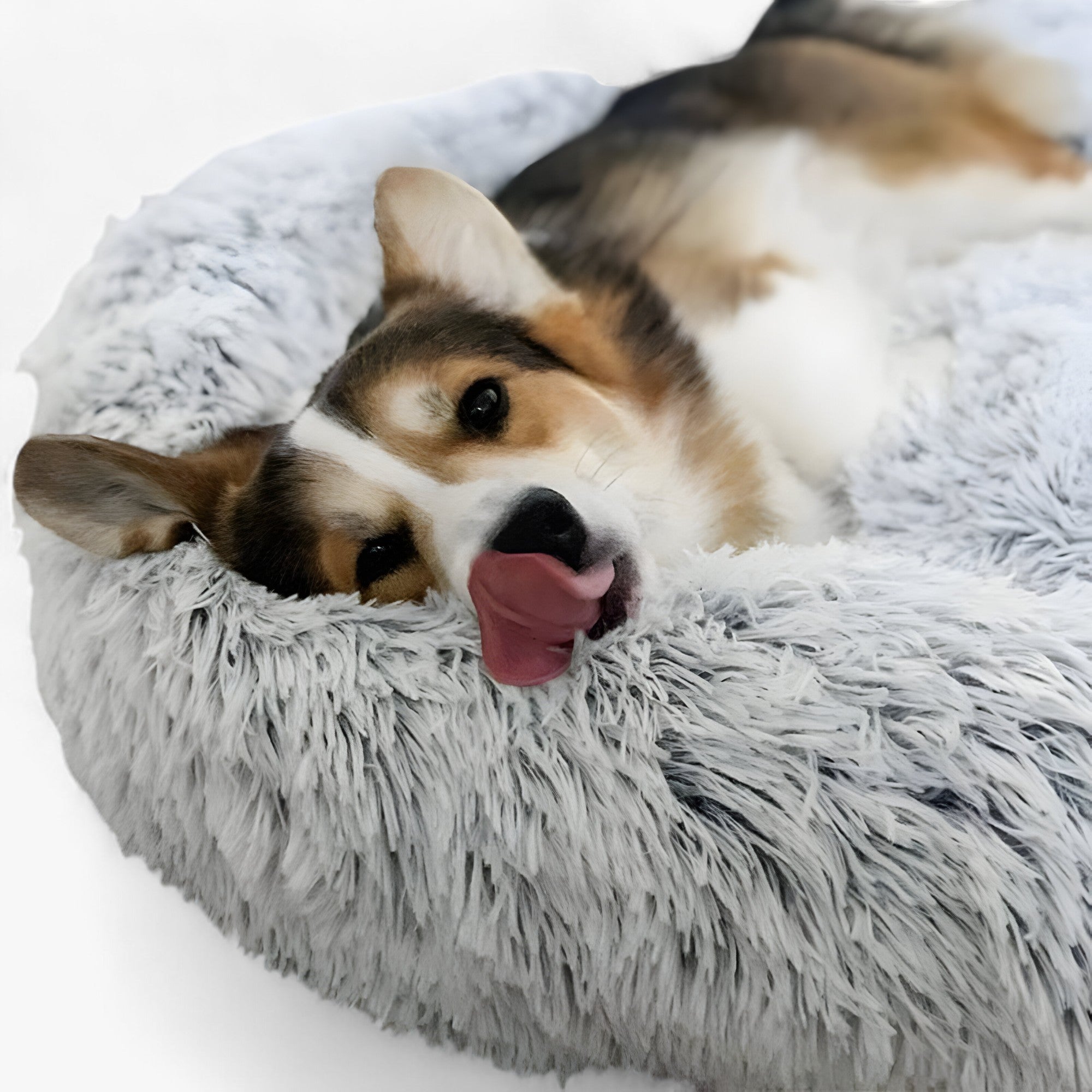 Beroligende Seng For Dyr – Behagelig Komfort Og Reparativ Søvn 