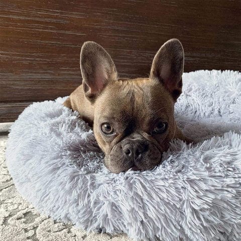 Letto Rilassante Ultra Morbido Per Animali – Comfort E Serenità 