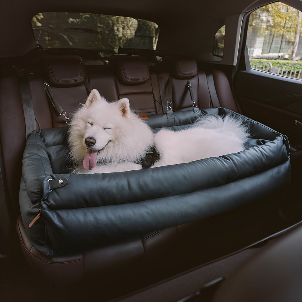 Scaun Auto Pentru Câini – Confort și Protecție 