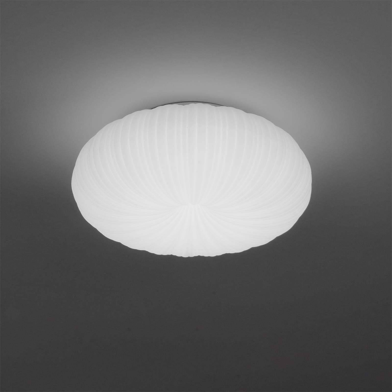 Modern LED Ceiling Lamp With Remote Control - Comfort And Elegance