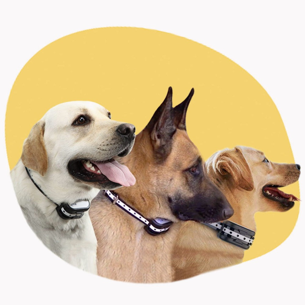 Cerca Electrónica Inalámbrica Con Collar – Seguridad Para Su Perro 