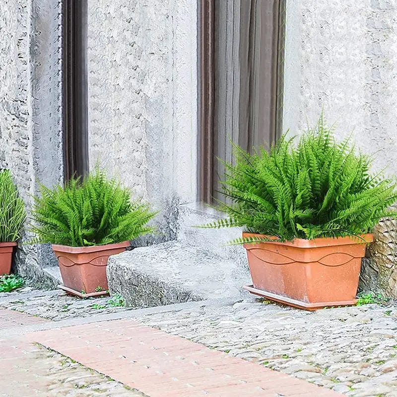 Tekokasvien Saniainen - Luonnollinen ja Kestävä Vaikutus 