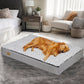 Comfortable Dog Bed – Ideal for Rest and Recovery 