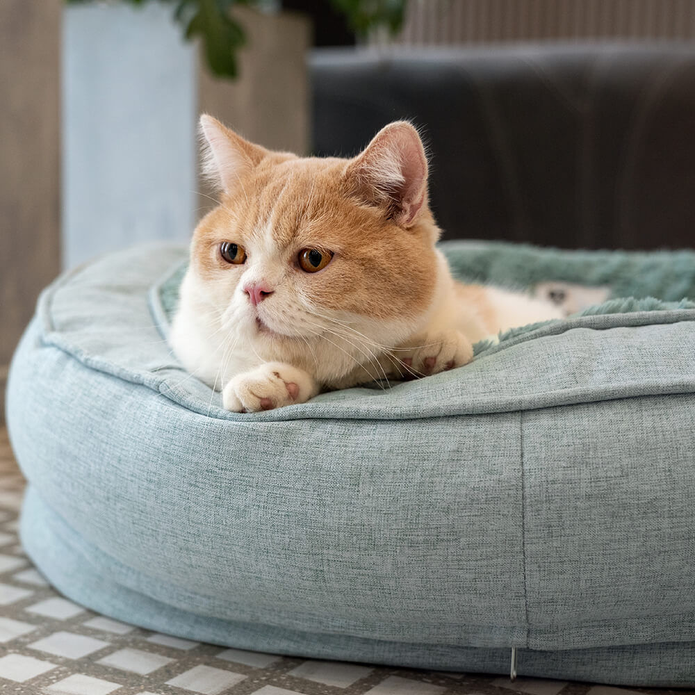Hond Bed In Donut Vorm – Comfort En Zachtheid 