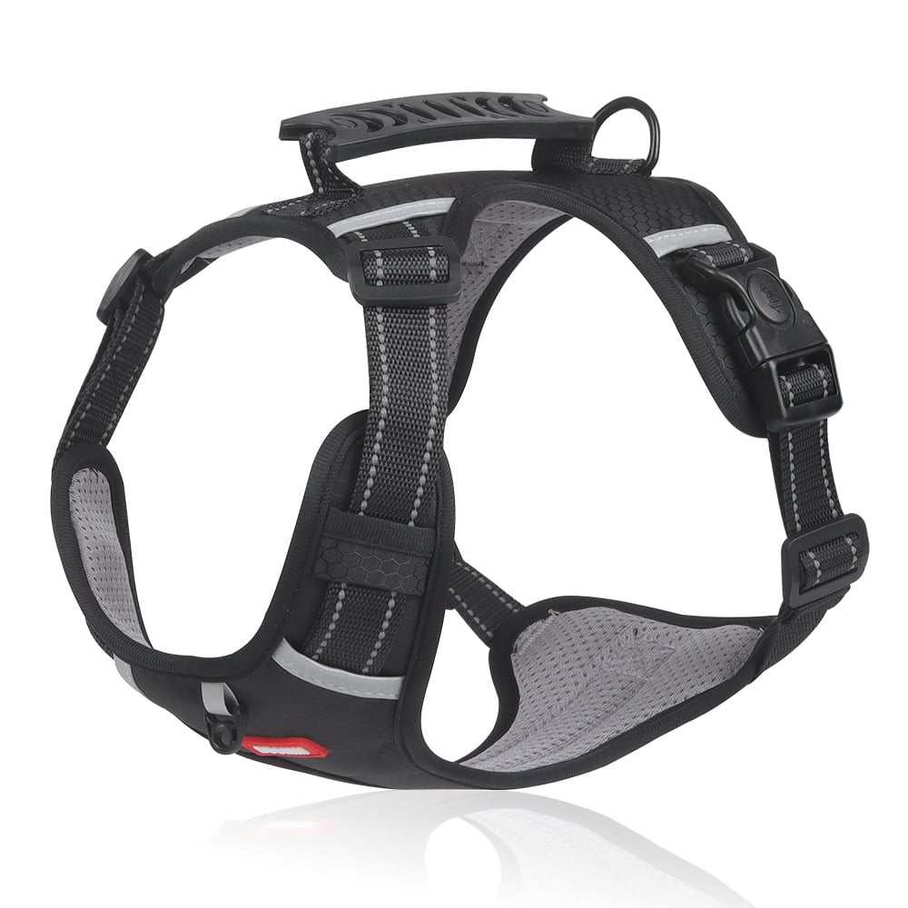 Harness מחזיר אור לכלב - נוחות וביטחון 