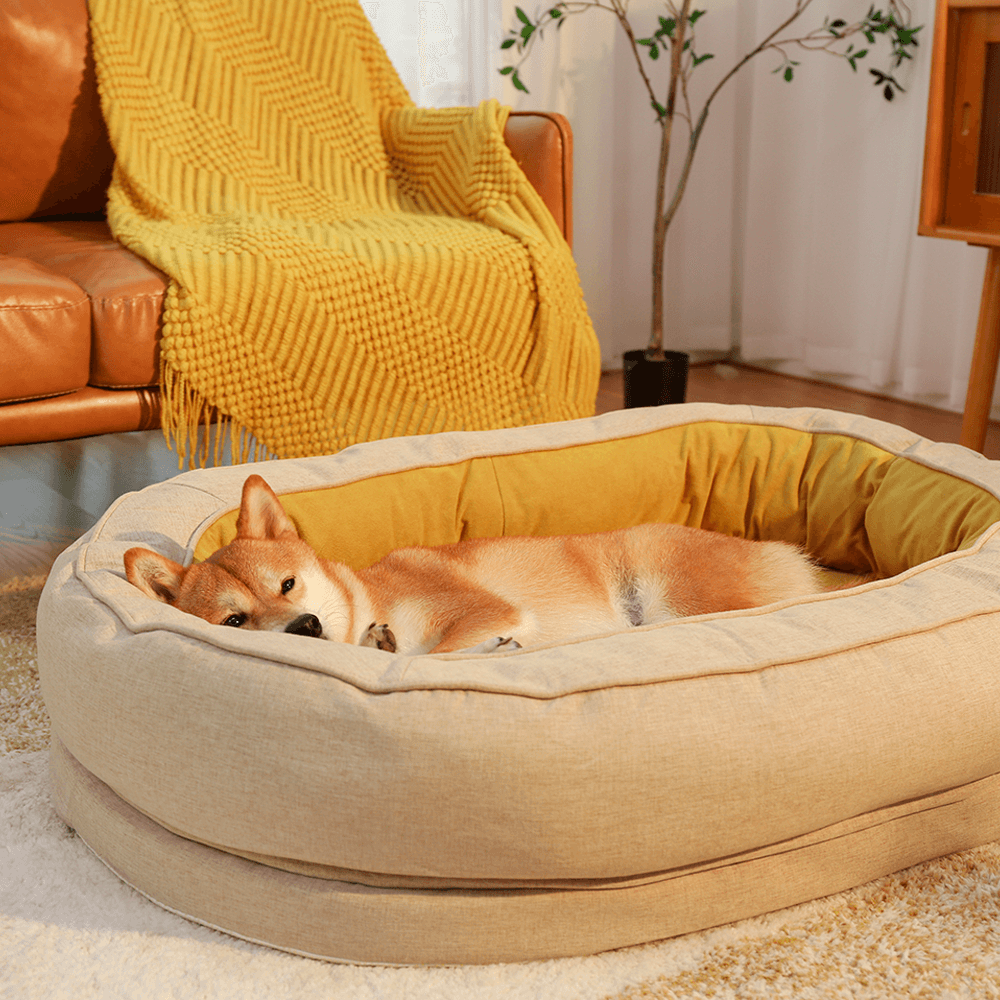 Dog Bed in Donut Shape – Comfort and Softness 