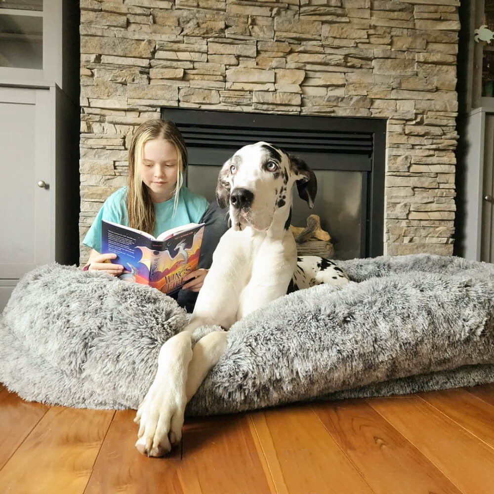 Hond Bed In Donut Vorm – Comfort En Zachtheid 