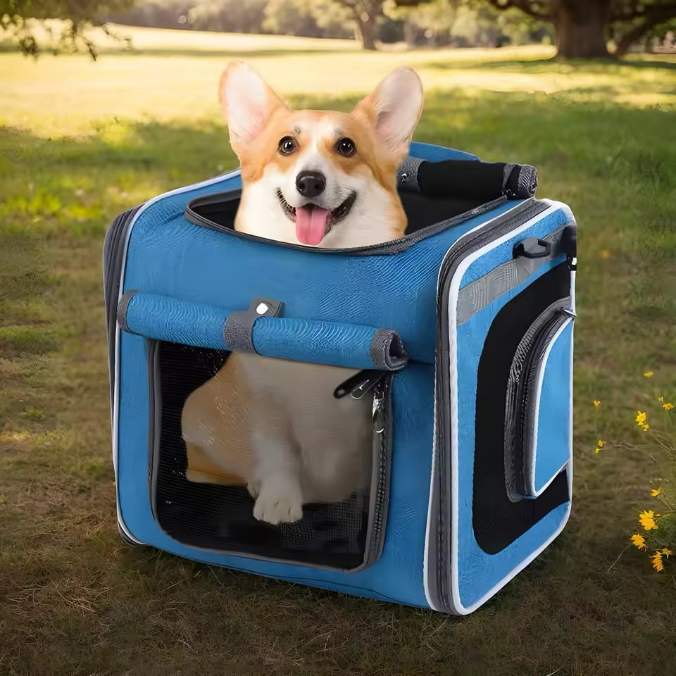 Canasta de bicicleta extensible para animales – Práctica y cómoda 