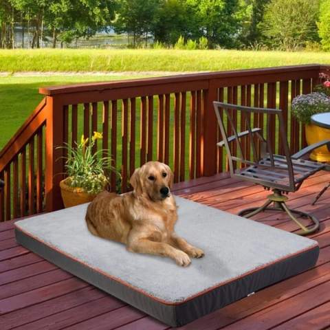 Bed Voor Grote Honden – Comfort En Aangepaste Ruimte 