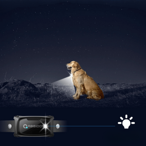 Collier De Dressage Pour Chien – Télécommande LED Et Portée 1000 m