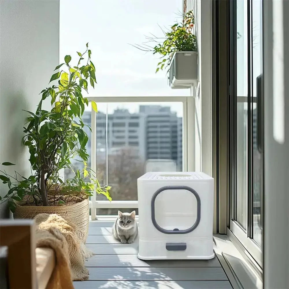 Cat Litter Anti-Odor – Cleanliness and Comfort Guaranteed 