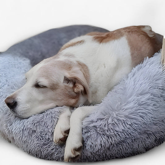Beruhigendes Bett für Tiere – Gemütlicher Komfort und erholsamer Schlaf 