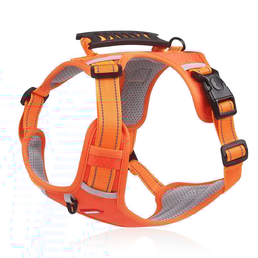 Harness מחזיר אור לכלב - נוחות וביטחון 
