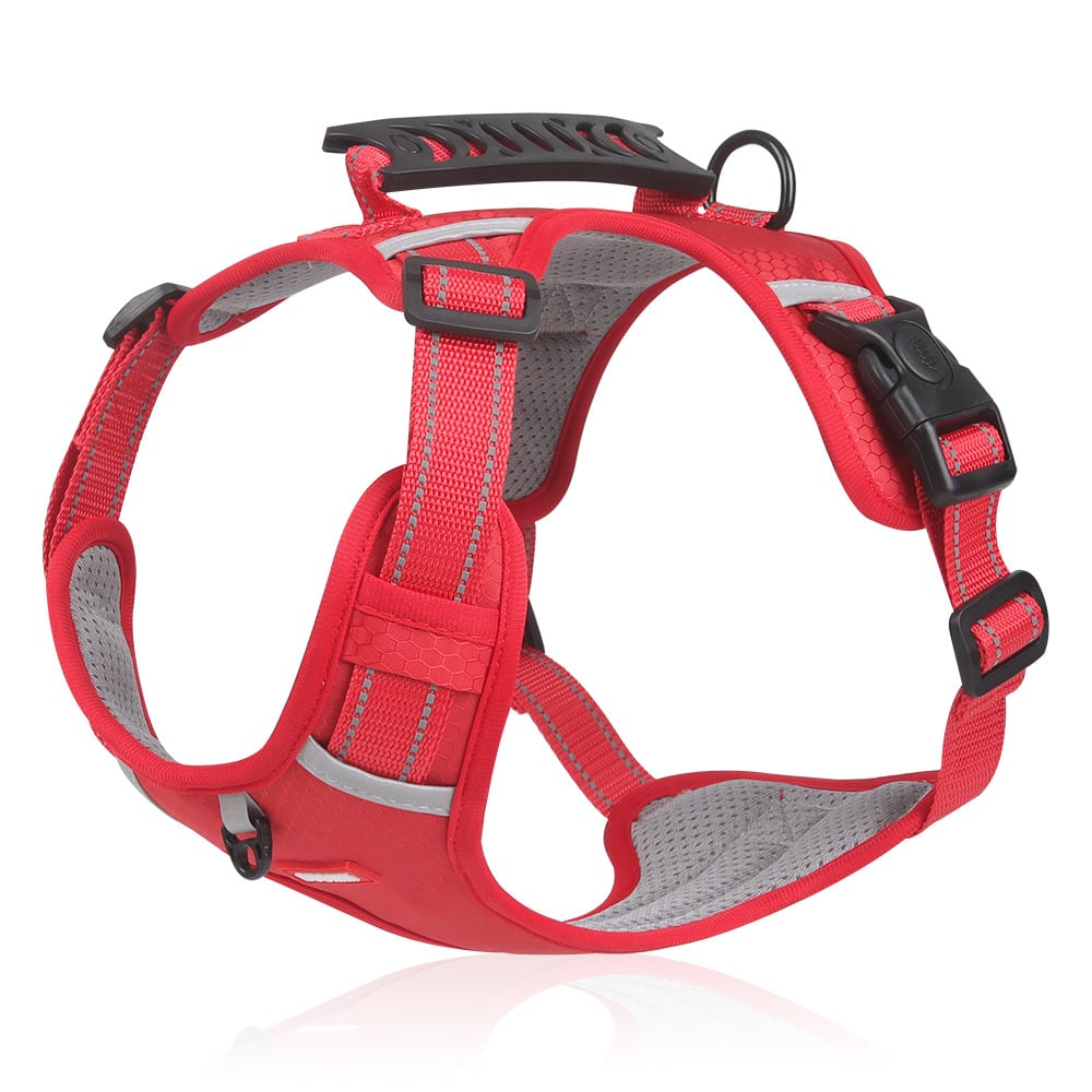 Harness מחזיר אור לכלב - נוחות וביטחון 